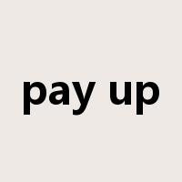 pay up是什么意思