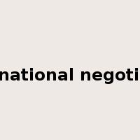 international negotiation是什么意思