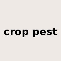 crop pest是什么意思