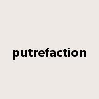 putrefaction是什么意思