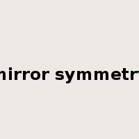 mirror symmetry是什么意思