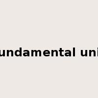 fundamental unit是什么意思