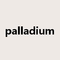 palladium是什么意思
