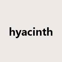 hyacinth是什么意思