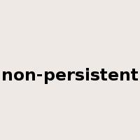 non-persistent是什么意思