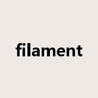 filament是什么意思