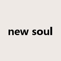 new soul是什么意思