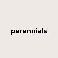 perennials是什么意思