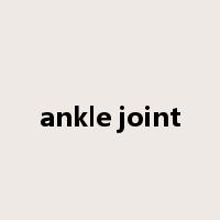 ankle joint是什么意思