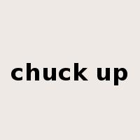 chuck up是什么意思