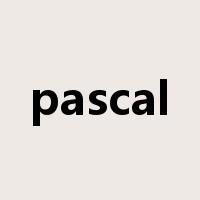 pascal是什么意思