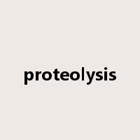 proteolysis是什么意思