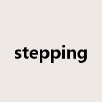 stepping是什么意思