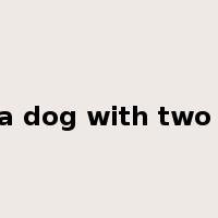 like a dog with two tails是什么意思