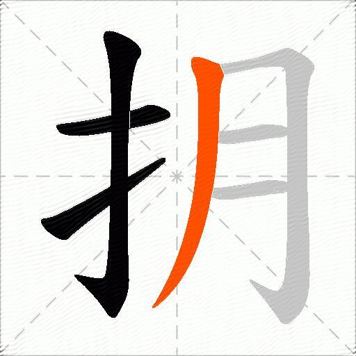 抈