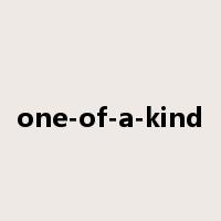 one-of-a-kind是什么意思