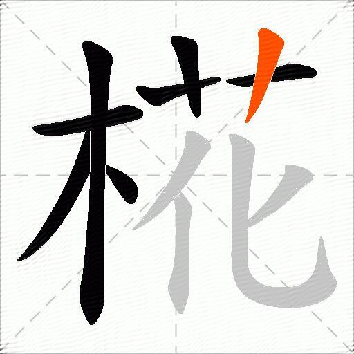 椛