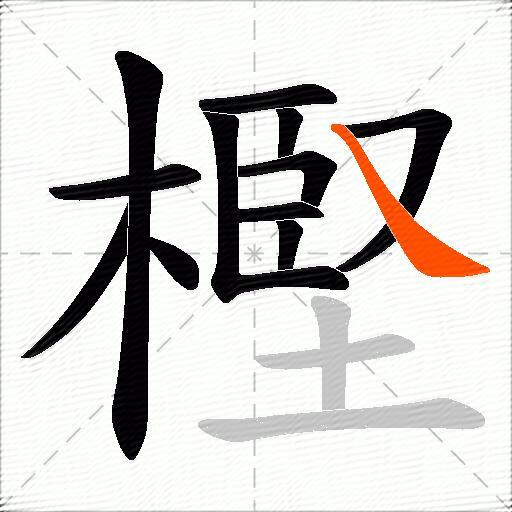 樫