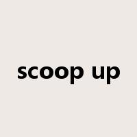 scoop up是什么意思