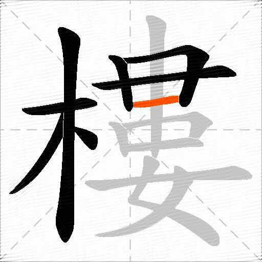 樓