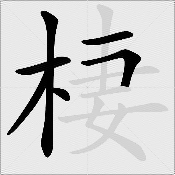 棲