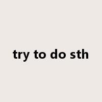 try to do sth是什么意思