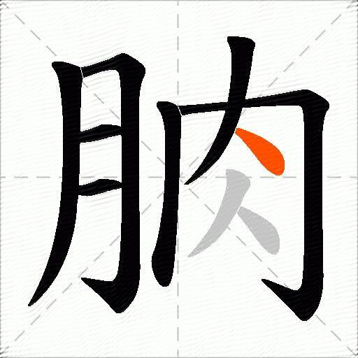 朒
