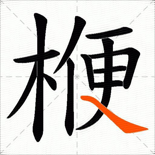 楩