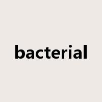 bacterial是什么意思
