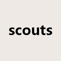 scouts是什么意思