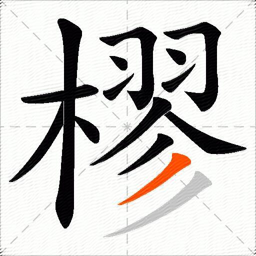 樛