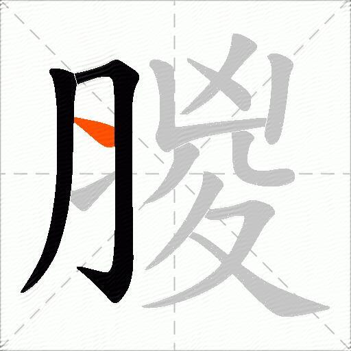 朡