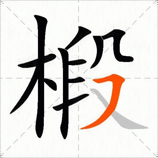 椴