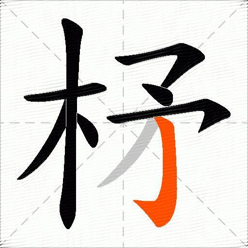 柕