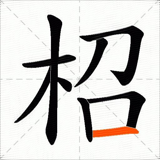 柖