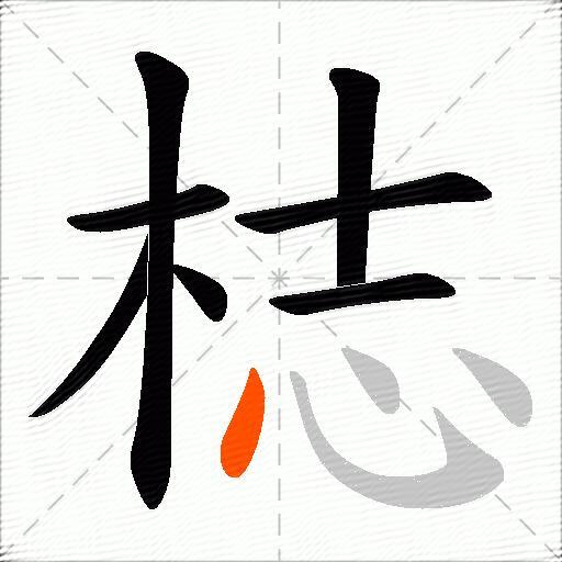 梽