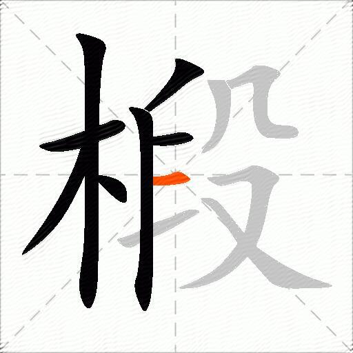 椴