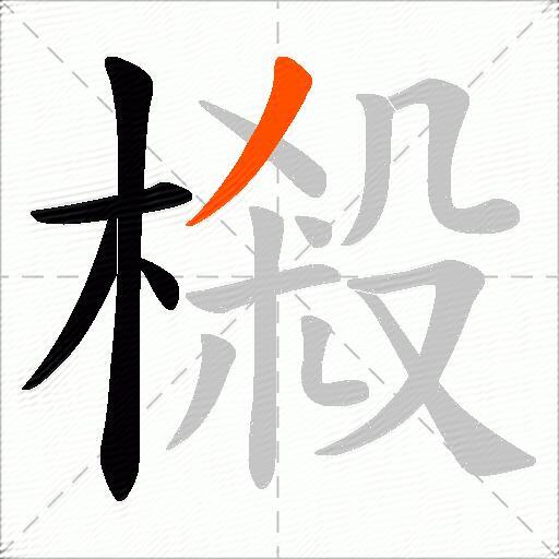 樧