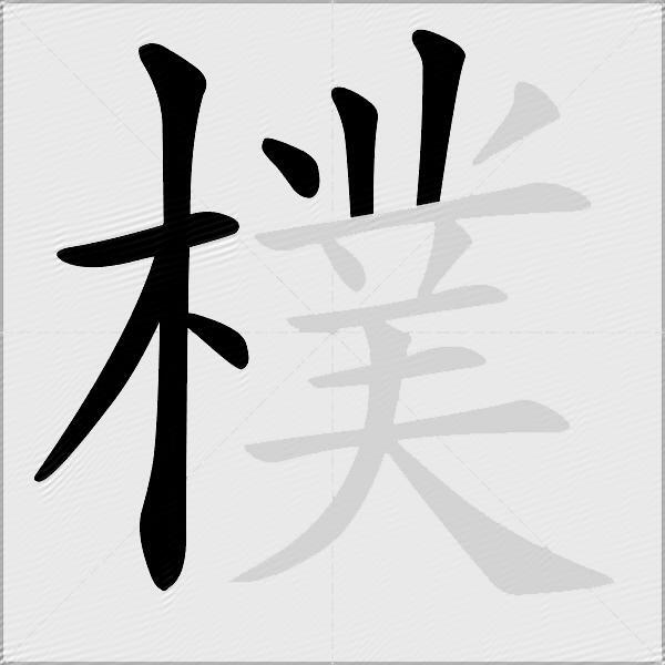 樸