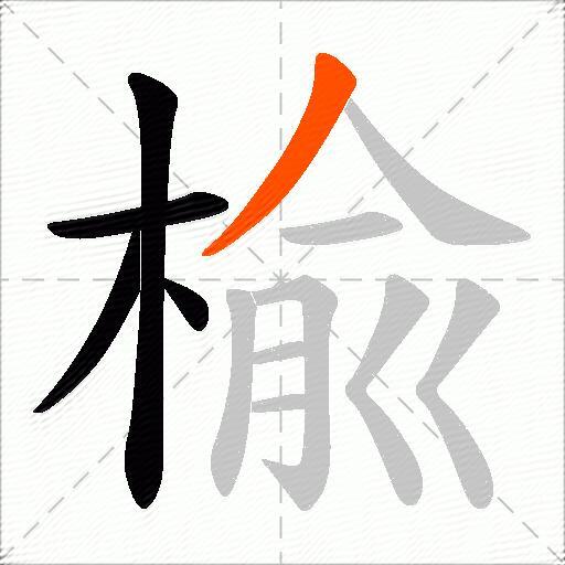楡