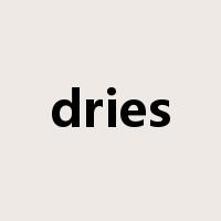 dries是什么意思