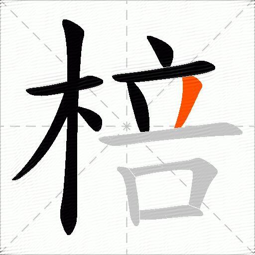 棓