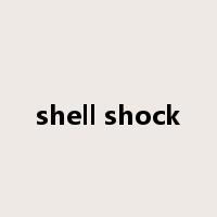 shell shock是什么意思