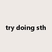 try doing sth是什么意思