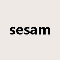 sesam是什么意思