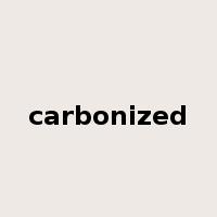 carbonized是什么意思
