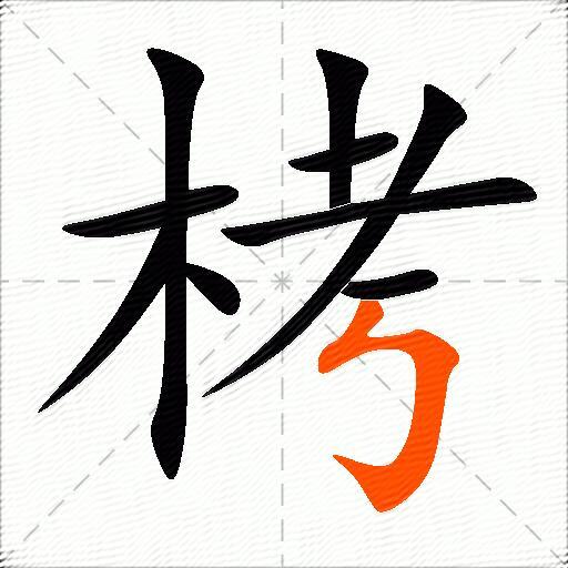栲