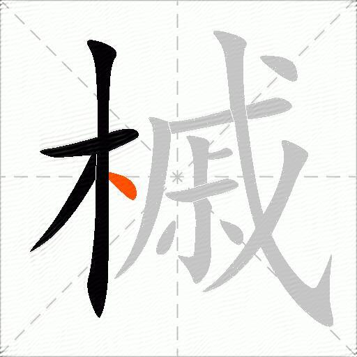 槭