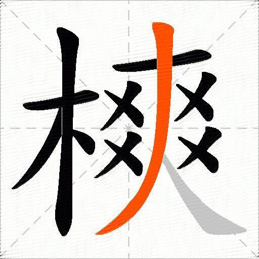 樉