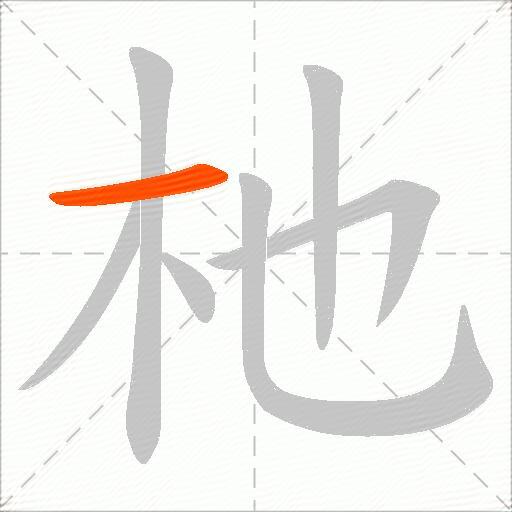 杝